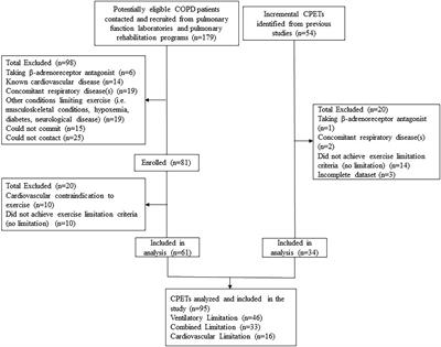 Phenotyping Cardiopulmonary Exercise Limitations in Chronic Obstructive Pulmonary Disease